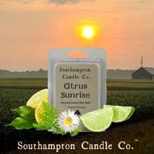 Load image into Gallery viewer, Citrus Sunrise™ Wax Melt is surrounded by fresh limes and lemons, citronella leaves and a white daisy. Amid a backdrop of farmland, while the sun is coming up.