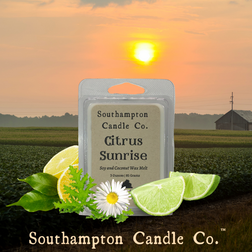 Citrus Sunrise™ Wax Melt is surrounded by fresh limes and lemons, citronella leaves and a white daisy. Amid a backdrop of farmland, while the sun is coming up.
